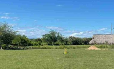 lote en venta en flandes Tolima