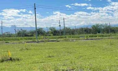lote en venta en flandes Tolima