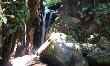 se vende 150 hectáreas ganaderas y agricola en el sector de Brilla Sol Intag Cotacachi Imbabura Ecuador