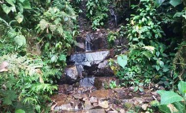 se vende 150 hectáreas ganaderas y agricola en el sector de Brilla Sol Intag Cotacachi Imbabura Ecuador