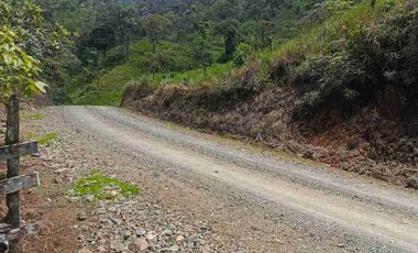 se vende 150 hectáreas ganaderas y agricola en el sector de Brilla Sol Intag Cotacachi Imbabura Ecuador