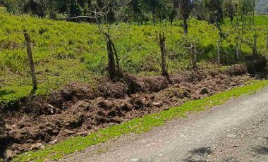 se vende 150 hectáreas ganaderas y agricola en el sector de Brilla Sol Intag Cotacachi Imbabura Ecuador
