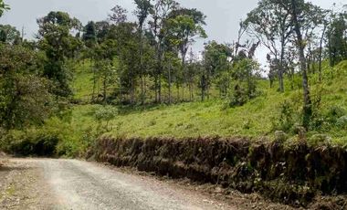 se vende 150 hectáreas ganaderas y agricola en el sector de Brilla Sol Intag Cotacachi Imbabura Ecuador