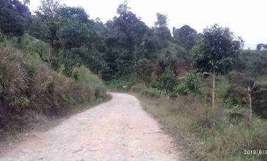 se vende 150 hectáreas ganaderas y agricola en el sector de Brilla Sol Intag Cotacachi Imbabura Ecuador