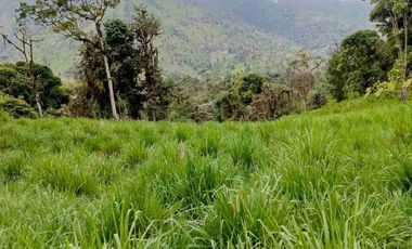se vende 150 hectáreas ganaderas y agricola en el sector de Brilla Sol Intag Cotacachi Imbabura Ecuador