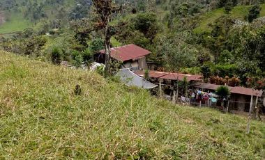 se vende 150 hectáreas ganaderas y agricola en el sector de Brilla Sol Intag Cotacachi Imbabura Ecuador