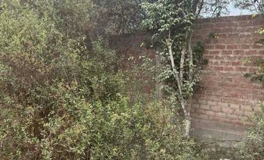 Venta de terreno en Pachacamac con precio de ocasión