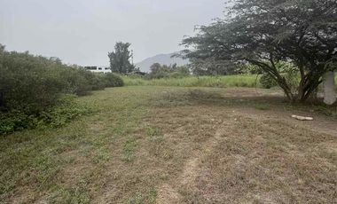 Venta de terreno en Pachacamac con precio de ocasión