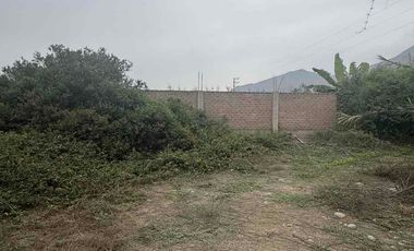 Venta de terreno en Pachacamac con precio de ocasión