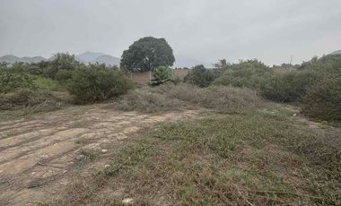 Venta de terreno en Pachacamac con precio de ocasión
