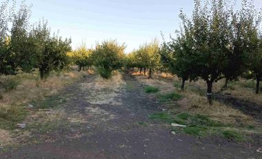 Terreno en venta en Santa Cruz, Colchagua