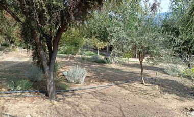 Se Vende Casa en Santa Cruz Valle Colchagua Rincin de Moreno