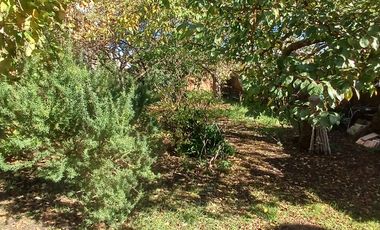 GALPON EN VENTA  - COLON 6450  GALPON DESARROLLADO SOBRE LOTE DE 10 X 44, CON AMPLIO ESPACIO LIBRE DE TERRENO Y EXCELENTE ALTURA
