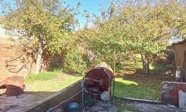 GALPON EN VENTA  - COLON 6450  GALPON DESARROLLADO SOBRE LOTE DE 10 X 44, CON AMPLIO ESPACIO LIBRE DE TERRENO Y EXCELENTE ALTURA