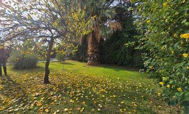El Polo, Machali