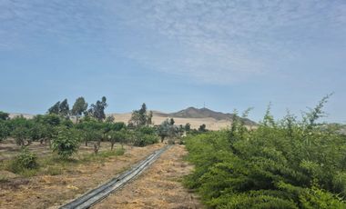 VENDO PREDIO DE 7000 MTS2 REF.  kM 95.5 PANAM NORTE. (500 MTS DE LA PANAMERICANA)
