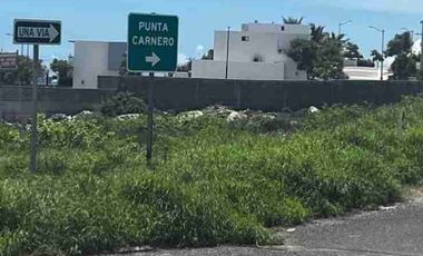 Venta de a terreno 1500 metros, Punta Carnero