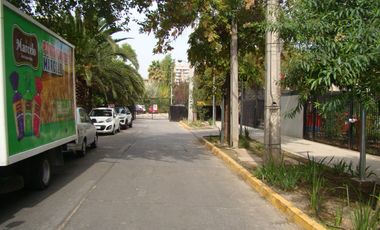Virginio Arias - Las Palmeras