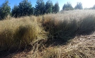 ¡GRAN OPORTUNIDAD HASTA EL 15 DE JUNIO! Vende Parcelas Altos del Bosque, Concepción, SIN COSTO DE COMISION.CORRETAJE.