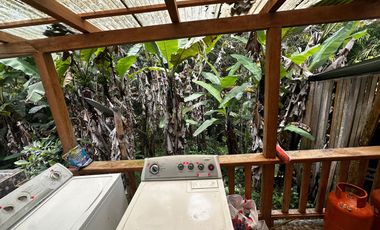 HACIENDA DE VENTA - MINDO - ECUADOR