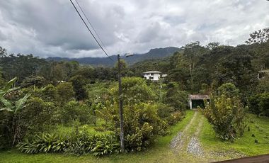 HACIENDA DE VENTA - MINDO - ECUADOR