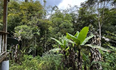 HACIENDA DE VENTA - MINDO - ECUADOR