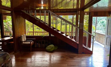 HACIENDA DE VENTA - MINDO - ECUADOR