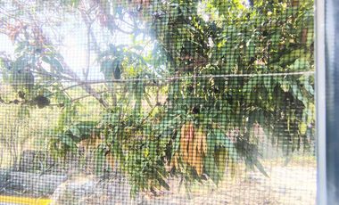 RENTA DE DEPARTAMENTO DE 1 RECÁMARA A 5 MIN. DE CASETA OACALCO