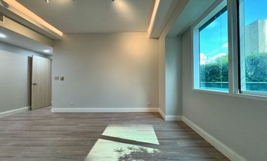 Garden Unit 2 Bedroom with Brand New Appliances For Sale Hidalgo Place Makati