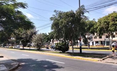 Se Vende Departamento Primer Piso Los Olivos
