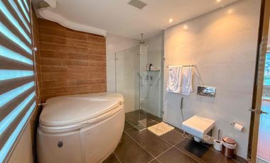 ARRIENDO PENTHOUSE AMOBLADO  EN LAURLES