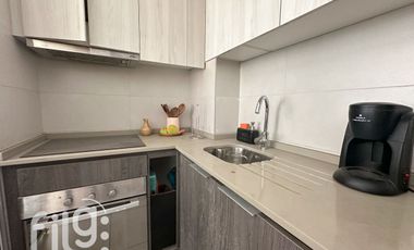 Arriendo Excelente Departamento 1d/1b estac. y bod. Ñuñoa