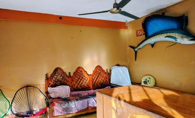 Invierta en Zihuatanejo, casa 11 cuartos