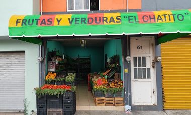 Casa de 2 recamaras con dos locales comerciales en planta baja en Tala