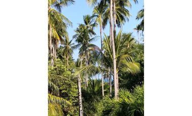 Seaview House for Sale South Koh Samui