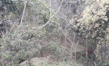 Venda lote en unidad privada cerca de Medellin