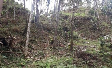 Venda lote en unidad privada cerca de Medellin