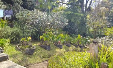 RESIDENCIA CON AMPLIO TERRENO EN VENTA EN XICOTEPEC DE JUÁREZ, PUEBLA