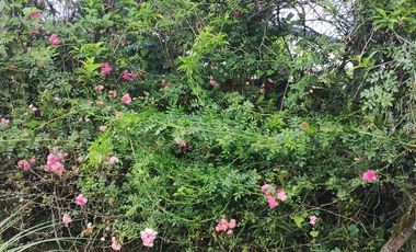 RESIDENCIA CON AMPLIO TERRENO EN VENTA EN XICOTEPEC DE JUÁREZ, PUEBLA