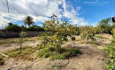 RINCONADA - VENDE PROPIEDAD CON GRAN TERRENO - TABOLANGO