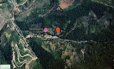 se vende pequeña finca de 4 Hectáreas con sembrios y construcciones en Intag Cotacachi Imbabura Ecuador