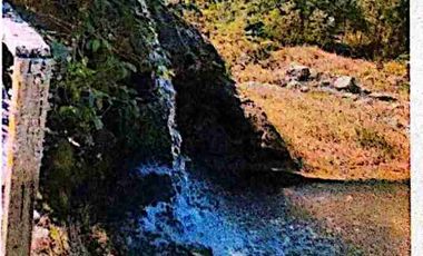 se vende pequeña finca de 4 Hectáreas con sembrios y construcciones en Intag Cotacachi Imbabura Ecuador