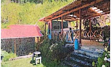 se vende pequeña finca de 4 Hectáreas con sembrios y construcciones en Intag Cotacachi Imbabura Ecuador