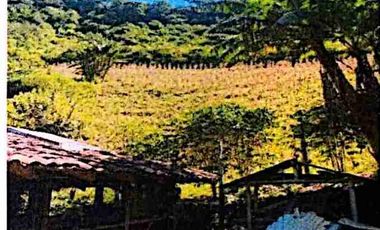 se vende pequeña finca de 4 Hectáreas con sembrios y construcciones en Intag Cotacachi Imbabura Ecuador