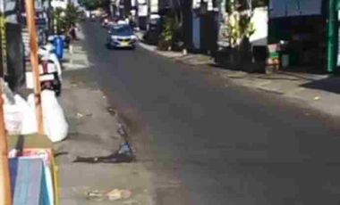 Disewakan Rumah 1a di pinggir Jln raya Dalung Permai Badung Bali