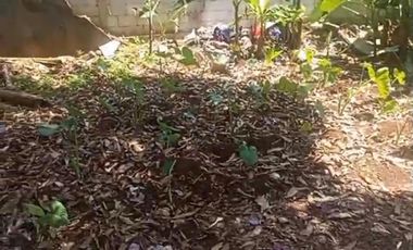 Setu Tangerang Selatan Tanah Dijual Pinggir Jalan Raya