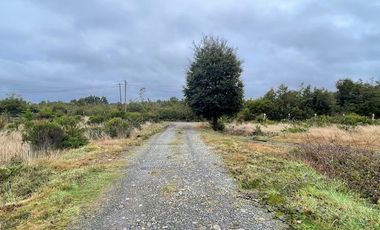 Arriendo hermosa Parcela con casa, sector Panitao Bajo, Puerto Montt