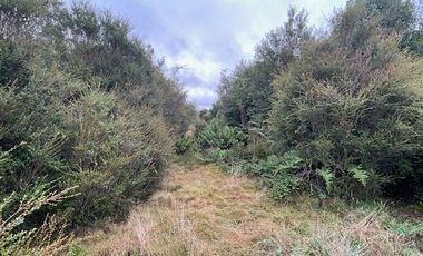 Arriendo hermosa Parcela con casa, sector Panitao Bajo, Puerto Montt