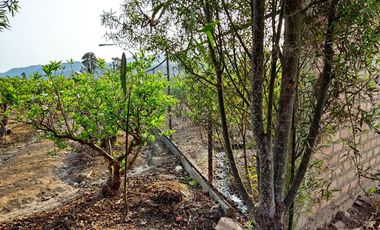 Terreno 2500m² Para casa de Campo Cercado