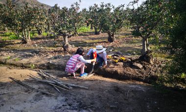 Terreno 2500m² Para casa de Campo Cercado